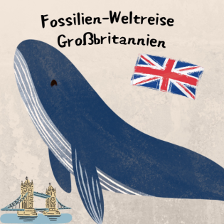 Fossilien-Weltreise – Großbritannien