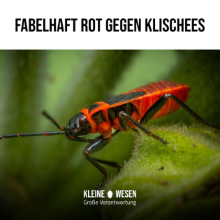 E10: Fabelhaft rot gegen Klischees