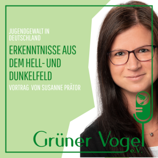 Jugendgewalt in Deutschland