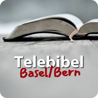 Beitrag vom 22. Feb 2024