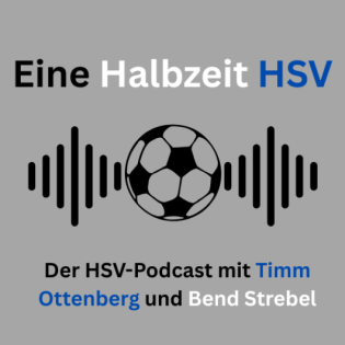 #10 Der HSV spielt wieder Bundesliga
