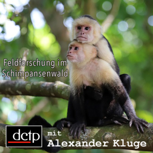 Feldforschung im Schimpansenwald