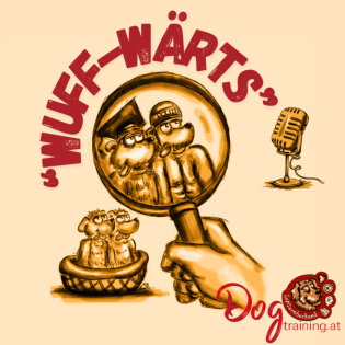 4.3 Übungen positiv aufbauen - was dazu gehört