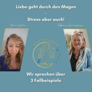 No. 19 Liebe geht durch den Magen - Stress aber auch! 3 Fälle