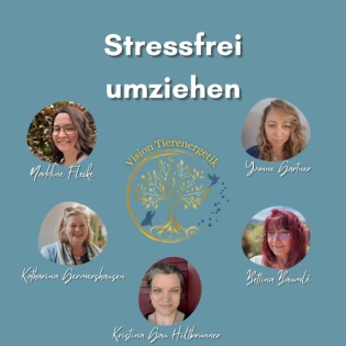 No 25 Stressfrei umziehen