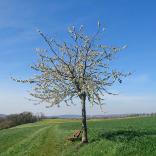 Mutter Erde flüstert