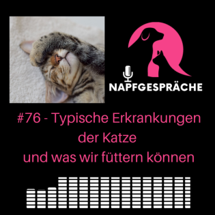 #76 - Typische Erkrankungen der Katze und was wir füttern können