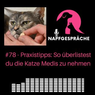 #78 - Praxistipps: So überlistest du die Katze