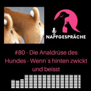 #80 - Wenn´s hinten kneift - Die Wahrheit über die Analdrüse