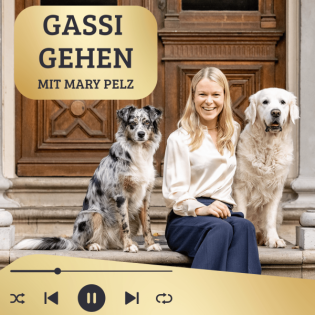 #29 Wenn dein Hund Angst hat – so hilfst du ihm!
