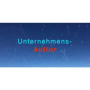 SF33 Selbstreflexion und zukunftsfähige Unternehmenskultur