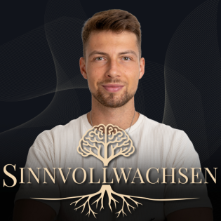 #005 So manipulierst du dein Umfeld – und warum du es tun solltest (Fabian Helfenstein)