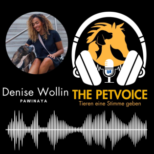 #6 - pawINAYA - Das Halfter für Rollleinen und Co. mit Denise Wollin