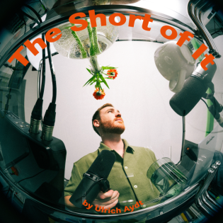 #5 – Mladen über KI Kampagnen