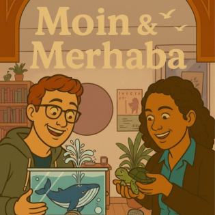 # 5 Die schlüpfrige Schildkröte