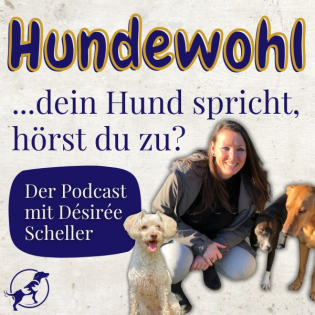 Qualzucht bei Hunden