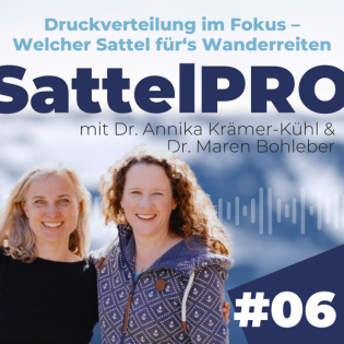 #06 Druckverteilung im Fokus – Welcher Sattel für‘s Wanderreiten