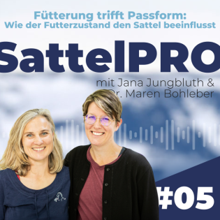 #05 Fütterung trifft Passform: Wie der Futterzustand den Sattel beeinflusst