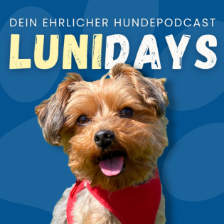 #4 6 Dinge, die dein Welpe JETZT lernen sollte