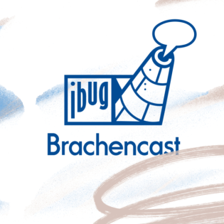 Die Kreativphase– where the magic happens