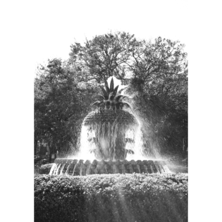 Alexander Hirsch: High 5 – Wir sind Liebende