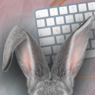 5000 Zeichen Nr. 001 - Plotbunnys