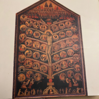 Biblische Weisheit. Über die Enzyklika lumen fidei von Papst Franziskus.