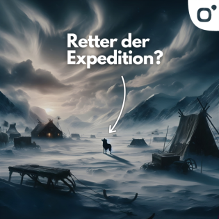 Aus dem miserablen Leben eines Schlittenhundes der Danmark-Expedition