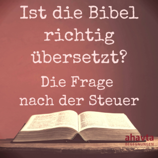 Die Frage nach der Steuer