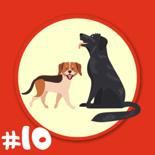 Folge 10 - Bernd Schäferhund und Trixie Dackel - eins, zwei, drei