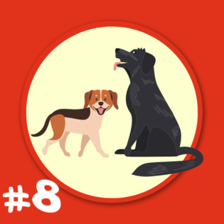 Folge 8 - Bernd Schäferhund und Trixie Dackel - Ein langweiliger Tag, oder etwa nicht?