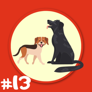 Folge 13 - Bernd Schäferhund und Trixie Dackel - ungewöhnlich flauschig