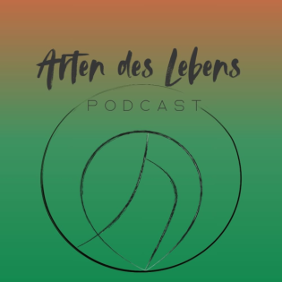 Folge 5 - Mehr als Symptomfreiheit: Heilung und ihre verschiedenen Grundqualitäten