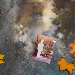 Rafaels Geburtstag (5/5)