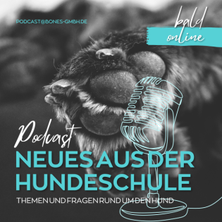 Folge 17 - FCI Gruppe 4 - Der Dackel