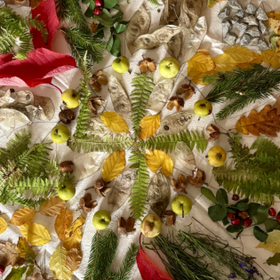 Der Wind weht uns weiter nach Altenbrack