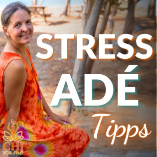 #007 Alltag entstressen – Wie du mit Chi-Impulsen bewusst durch den Tag gehst