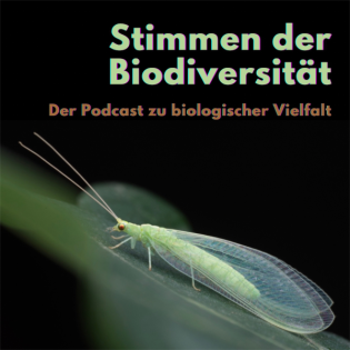 sdb3: 1. Rundgang in den Entomologischen Sammlungen mit Dr. Martin Sorg