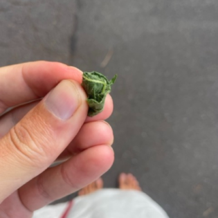 3.09.2025: Bin ich Jesus? Echte Reue verändert.