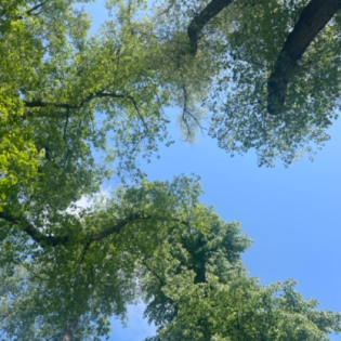 2.05.2025: Mutig werden durch Gottesfurcht. Taliban als Vorbild. Gott höre ich am frühen morgen. Aura sehen.