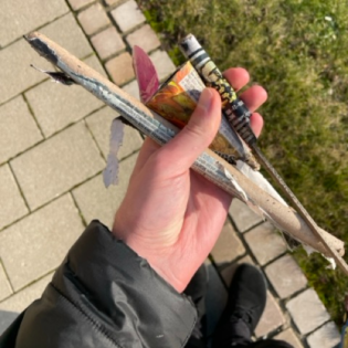 8.02.2025: Müllsammeln ohne Arbeitsbekleidung. Andere Sichtweise auf die Krankenversicherung dank Eugen Drewermann. Silvester-Überbleibsel.