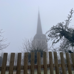 20.01.2025: Psychotherapie ist überflüssig