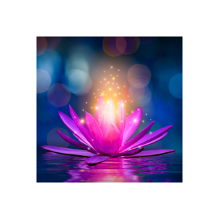 Traumreise in den Seerosen-Palast