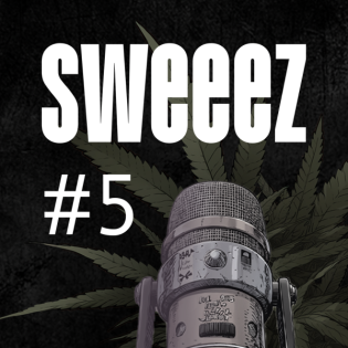 #5 - Trichome, Timing & Tipps: So meisterst du die Blüte