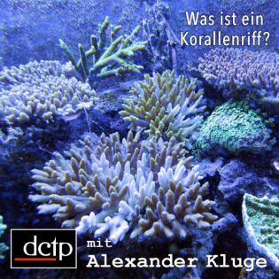 Was ist ein Korallenriff?