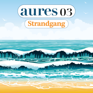 Insel Föhr - Strandgang