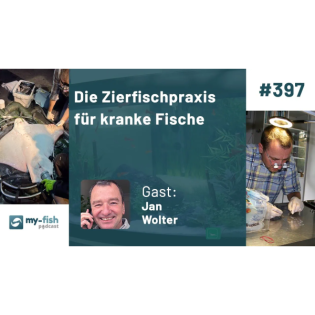 397: Die Zierfischpraxis für kranke Fische - Ein Tierarzt über seine Arbeit (Jan Wolter)