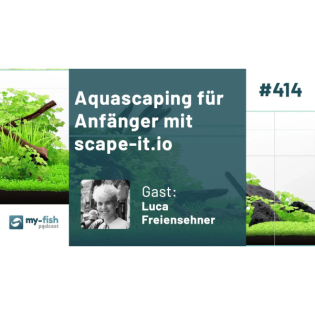Aquascaping für Anfänger mit scape-it.io – Das Online-Tool für beeindruckendes Aquascaping mit Neuheiten (Luca Freiensehner)