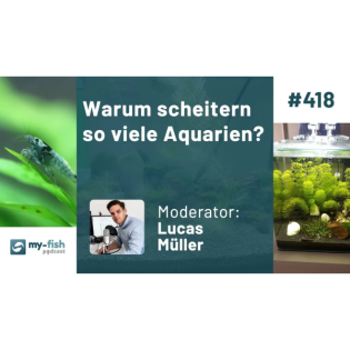 Warum scheitern so viele Aquarien? (Lucas Müller)