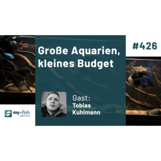 Große Aquarien, kleines Budget (Tobias Kuhlmann)